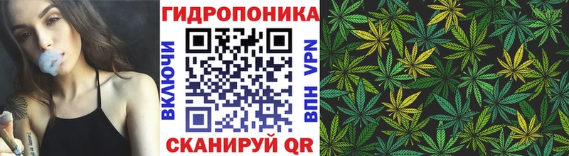 Магазины продажи наркотиков Томари ГАШИШ Псилоцибиновые грибы Меф мяу мяу MDMA A-PVP
