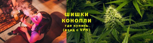 прущие грибы Абдулино