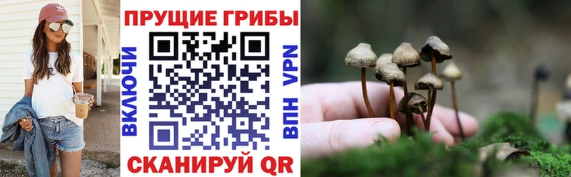 Галлюциногенные грибы мицелий Томари