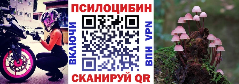 гидра ссылки Томари darknet как зайти Галлюциногенные грибы MAGIC MUSHROOMS