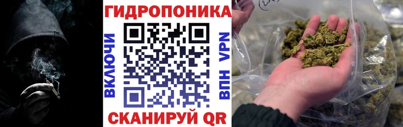 Канабис MAZAR  Томари 